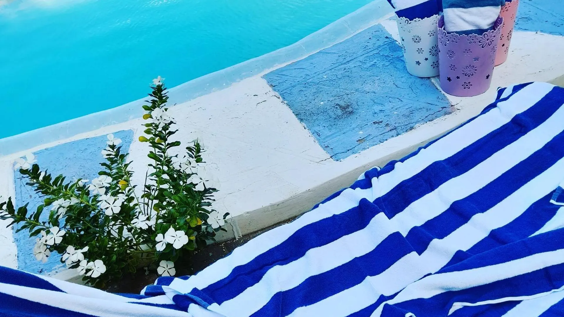 Appartamento Sweetsop Jamaica Villa And Tour Montego Bay